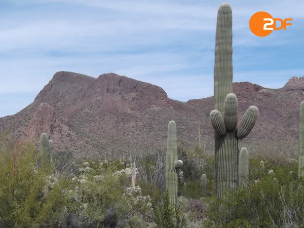 Das Wüstenparadies - Auf Inseln und Festland