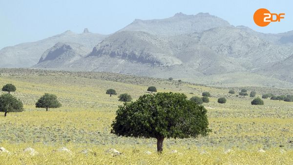 Wilder Iran - In den grünen Norden