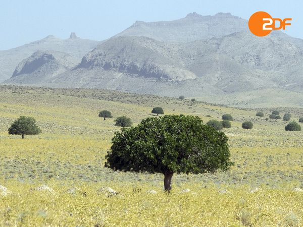 Wilder Iran - In den grünen Norden