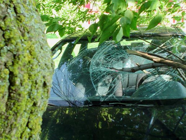 Accident Investigator - Dead Faint