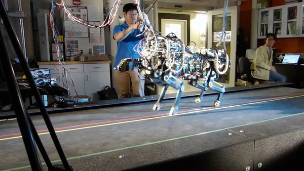 La naturaleza lo hace mejor - Automated Animals