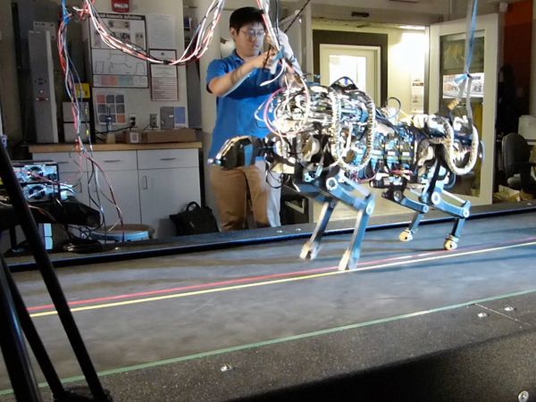La naturaleza lo hace mejor - Automated Animals