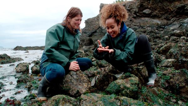 La naturaleza lo hace mejor - Mastering Mimicry