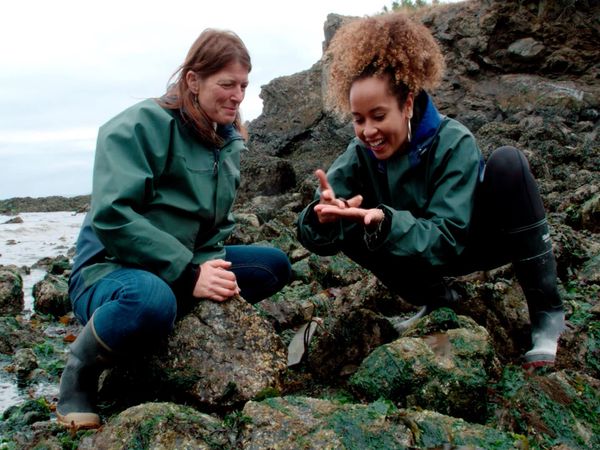 La naturaleza lo hace mejor - Mastering Mimicry