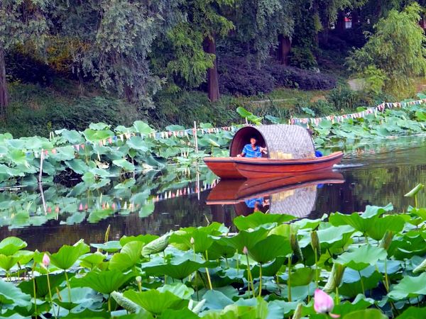 La naturaleza lo hace mejor - Bio-Building