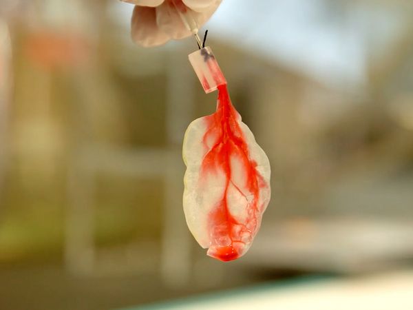 La naturaleza lo hace mejor - Medical Science