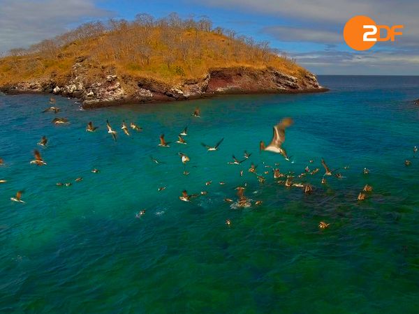 Äquator – Die Linie des Lebens - Kreislauf des Wassers