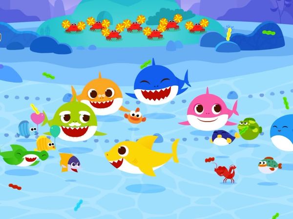 Baby Shark Brooklyn - Baby Shark Brooklyn