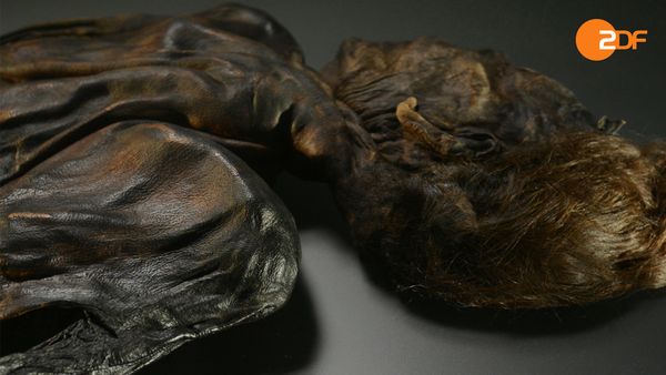 Rätselhafte Tote - Die mysteriöse Moorleiche