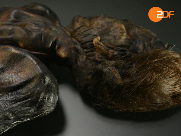 Rätselhafte Tote - Die mysteriöse Moorleiche