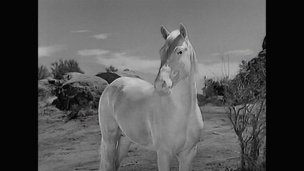 The Lone Ranger - The Lone Ranger: S1 E2 - The Lone Ranger Fights On