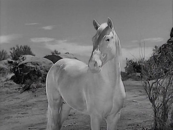 The Lone Ranger - The Lone Ranger: S1 E2 - The Lone Ranger Fights On