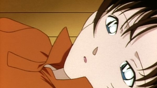 Detective Conan - El misterio de la Mansión de la Araña en Tottori (II)