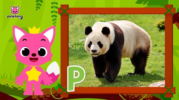 Learn ABC with Pinkfong - Animal Ep.1