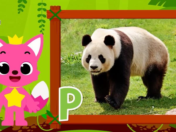 Learn ABC with Pinkfong - Animal Ep.1