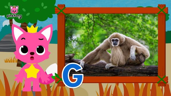 Learn ABC with Pinkfong - Animal Ep.2