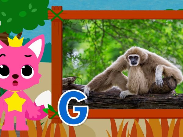 Learn ABC with Pinkfong - Animal Ep.2
