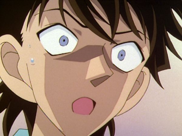 Detective Conan - La misteriosa excursión a Shirahara al sur de Kishu (II)