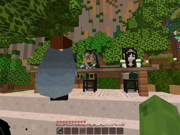 Tiny Turtle Minecraft Dragons - The Elf Nation Attack Us!