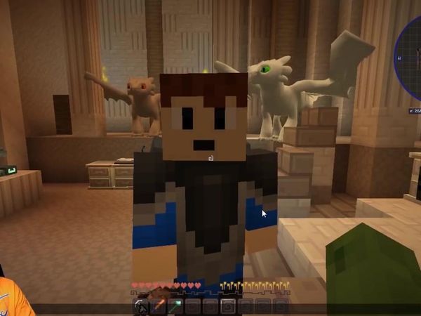 Tiny Turtle Minecraft Dragons - The Land of Lightfuries