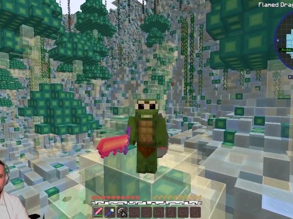 Tiny Turtle Minecraft Dragons - The Hunt for the Bewilderbeast!