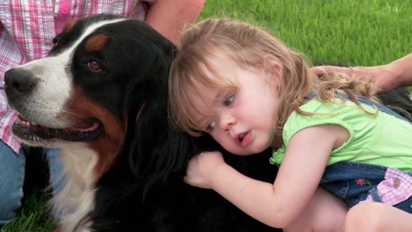Pick a Puppy - S01 Episode 03: Graceland