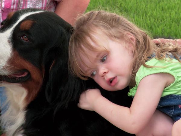 Pick a Puppy - S01 Episode 03: Graceland