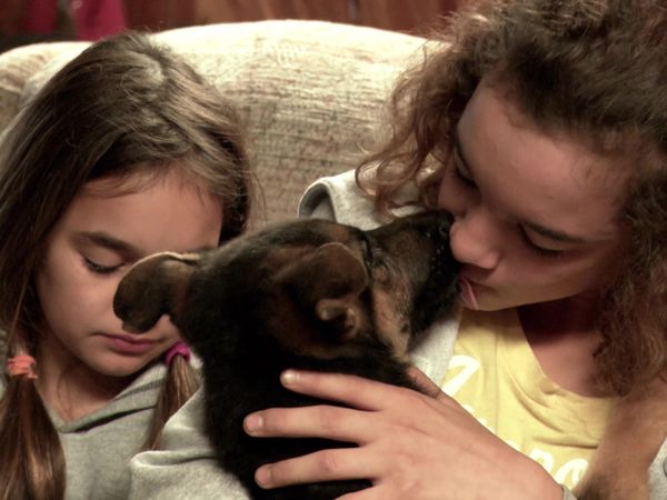 Pick a Puppy - S01 Episode 08: On Guard