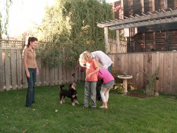 Pick a Puppy - S01 Episode 09: Puppy Love