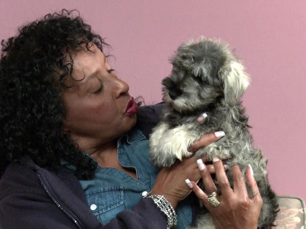 Pick a Puppy - S01 Episode 11: Mom's The Word