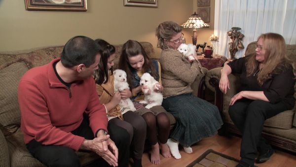 Pick a Puppy - S01 Episode 12: Tiny Dogs