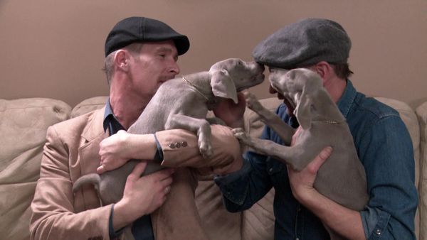 Pick a Puppy - S01 Episode 13: New Beginnings