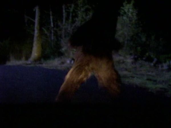 Misterios sin resolver - Episodio 23