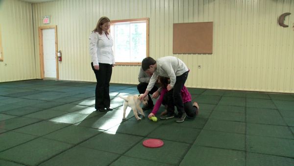 Pick a Puppy - S01 Episode 15: The Puppy Pact