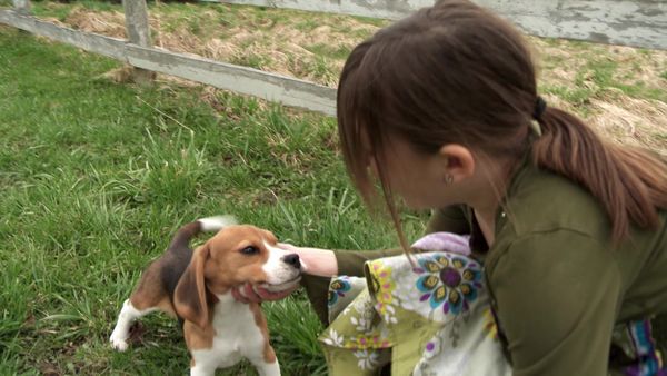 Pick a Puppy - S02 Episode 01: Oh Mi Corazon