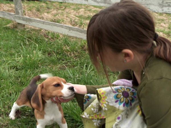 Pick a Puppy - S02 Episode 01: Oh Mi Corazon