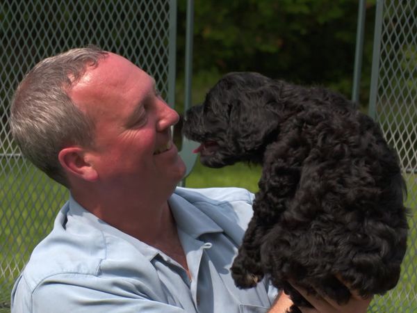 Pick a Puppy - S02 Episode 06: See You At The Cottage