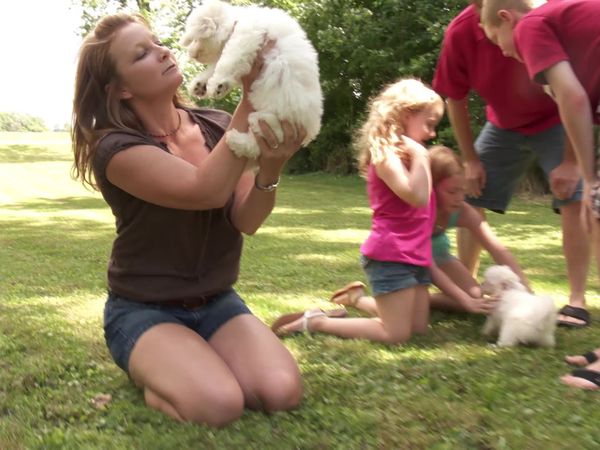 Pick a Puppy - S02 Episode 13: Cute And Compact