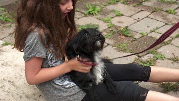 Pick a Puppy - S02 Episode 16: Perfect Fit