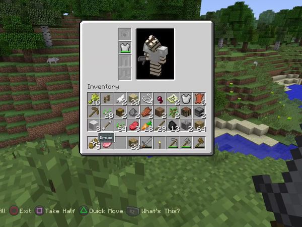 Sneaky Stripes (Minecraft Gameplay) - Zebra Gamer - Episode 1