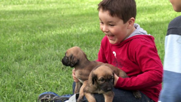 Pick a Puppy - S03 Episode 16: A Real Puppy