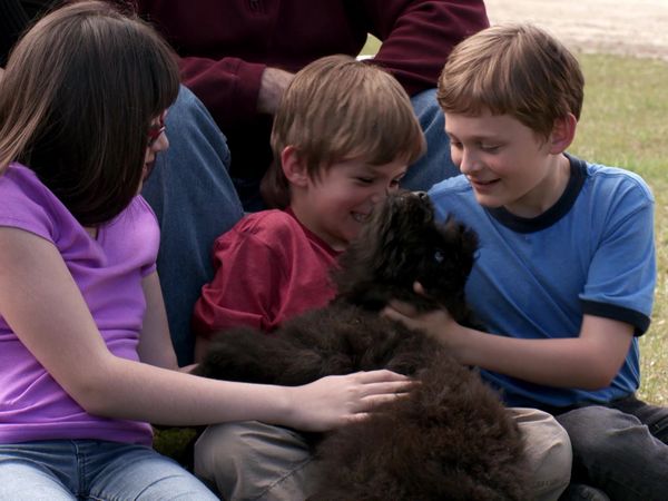 Pick a Puppy - S03 Episode 02: All In The Family