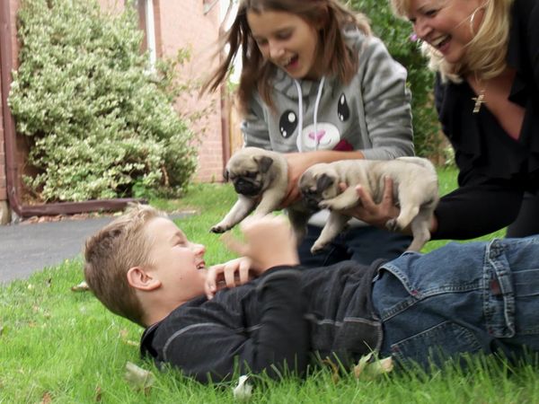 Pick a Puppy - S03 Episode 15: Three's Not A Crowd