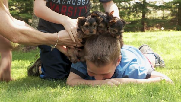 Pick a Puppy - S03 Episode 01: Puppy Party