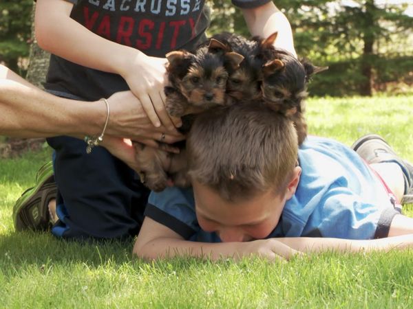 Pick a Puppy - S03 Episode 01: Puppy Party