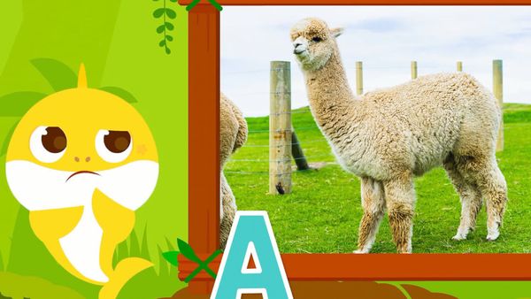 Learn ABC with Baby Shark - Learn ABC with Baby Shark - Animal Ep.1