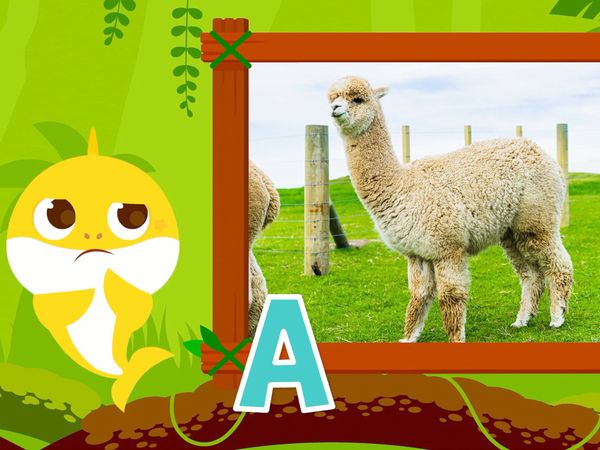 Learn ABC with Baby Shark - Learn ABC with Baby Shark - Animal Ep.1