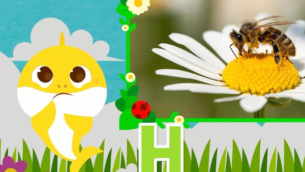 Learn ABC with Baby Shark - Learn ABC with Baby Shark - Bug