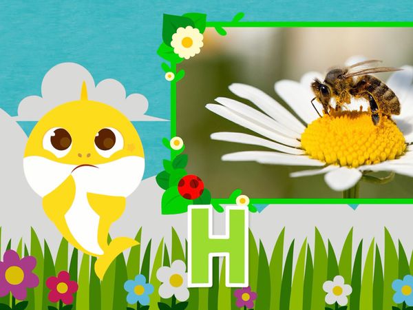 Learn ABC with Baby Shark - Learn ABC with Baby Shark - Bug