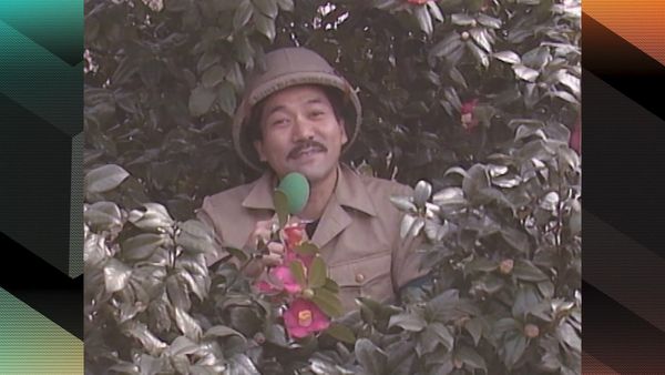 MXC (Most Extreme Elimination Challenge) - Desperate Housewives vs. UFC